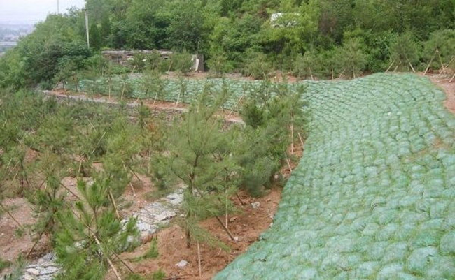 �c���鿴Ԕ����Ϣ���}�����B��ʩ�� ��x�Δ���1962